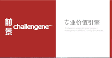 专业的价值Professi on sfrength your project,ener gize your team,bring you value